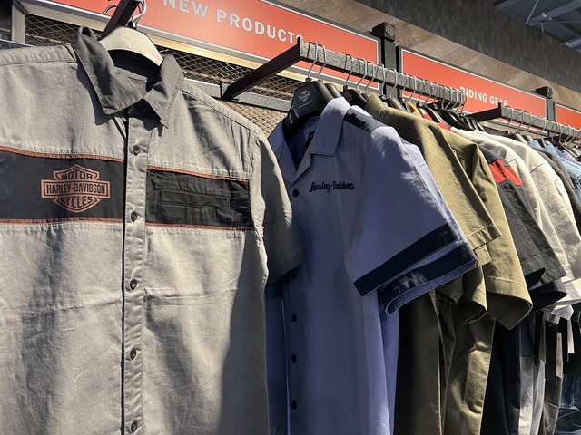 image_50754561