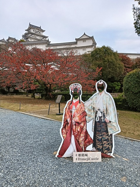 IMG20251124142955