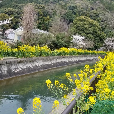 IMG_20240407_070031_395