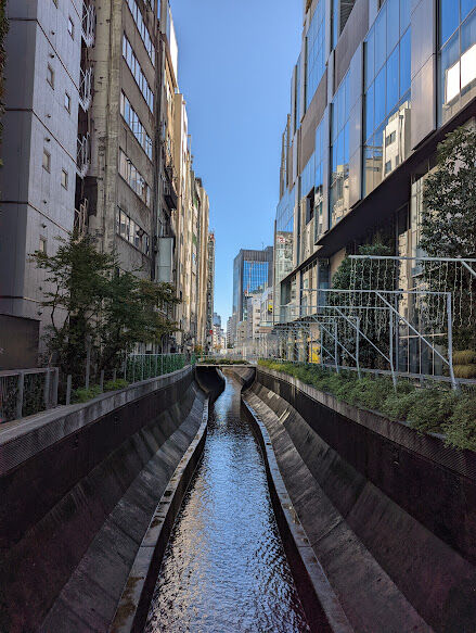 PXL_20211213_015756671