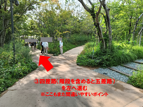 スクリーンショット 2025-07-18 110451