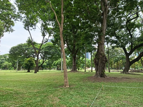 IMG20241106105550