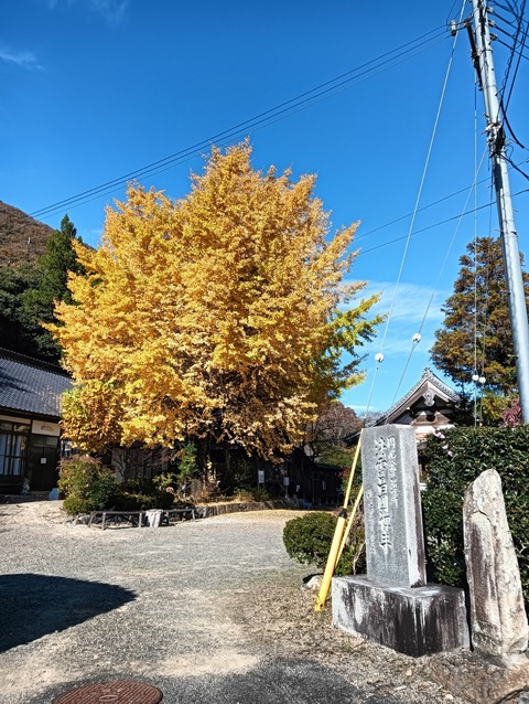 IMG20251123133557