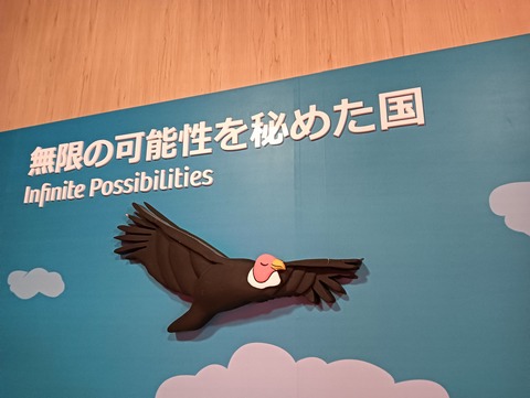 IMG20250701133052