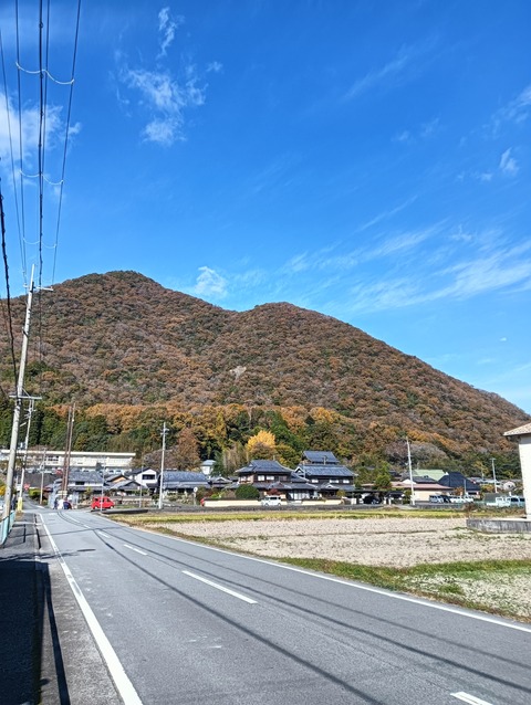 IMG20251123110229
