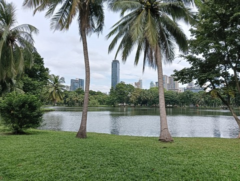 IMG20241106101613