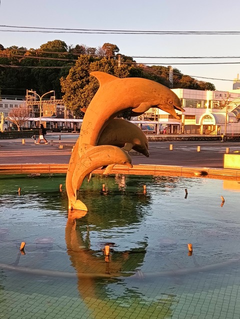 IMG20260101071833