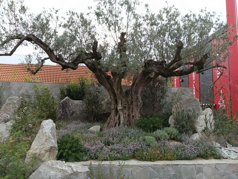 IMG20250519170404_BURST000_COVER