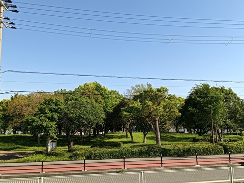 IMG20250508152912