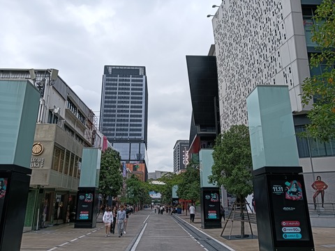 IMG20241106120645