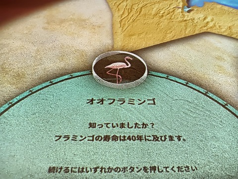 IMG20250822193915