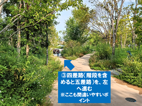 スクリーンショット 2025-07-19 125359