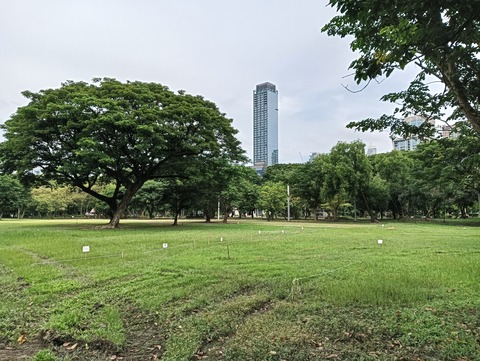 IMG20241106103538