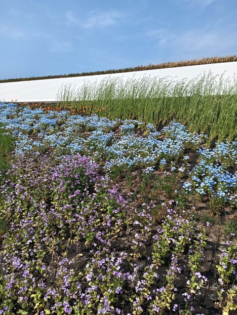 494064810_9946701718778220_4353212441956865143_n