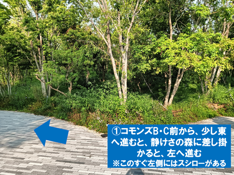スクリーンショット 2025-07-19 125247