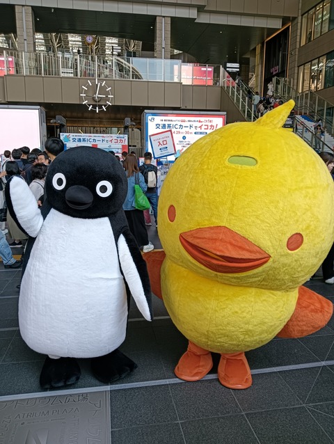 IMG20250430150244