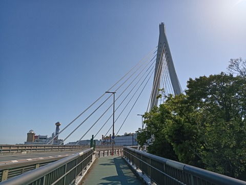 IMG20250508153720