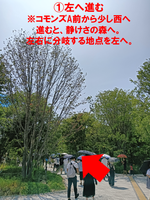 スクリーンショット 2025-07-17 114646