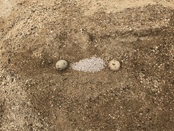 013