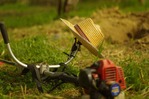 grass-cutting-828544_1920