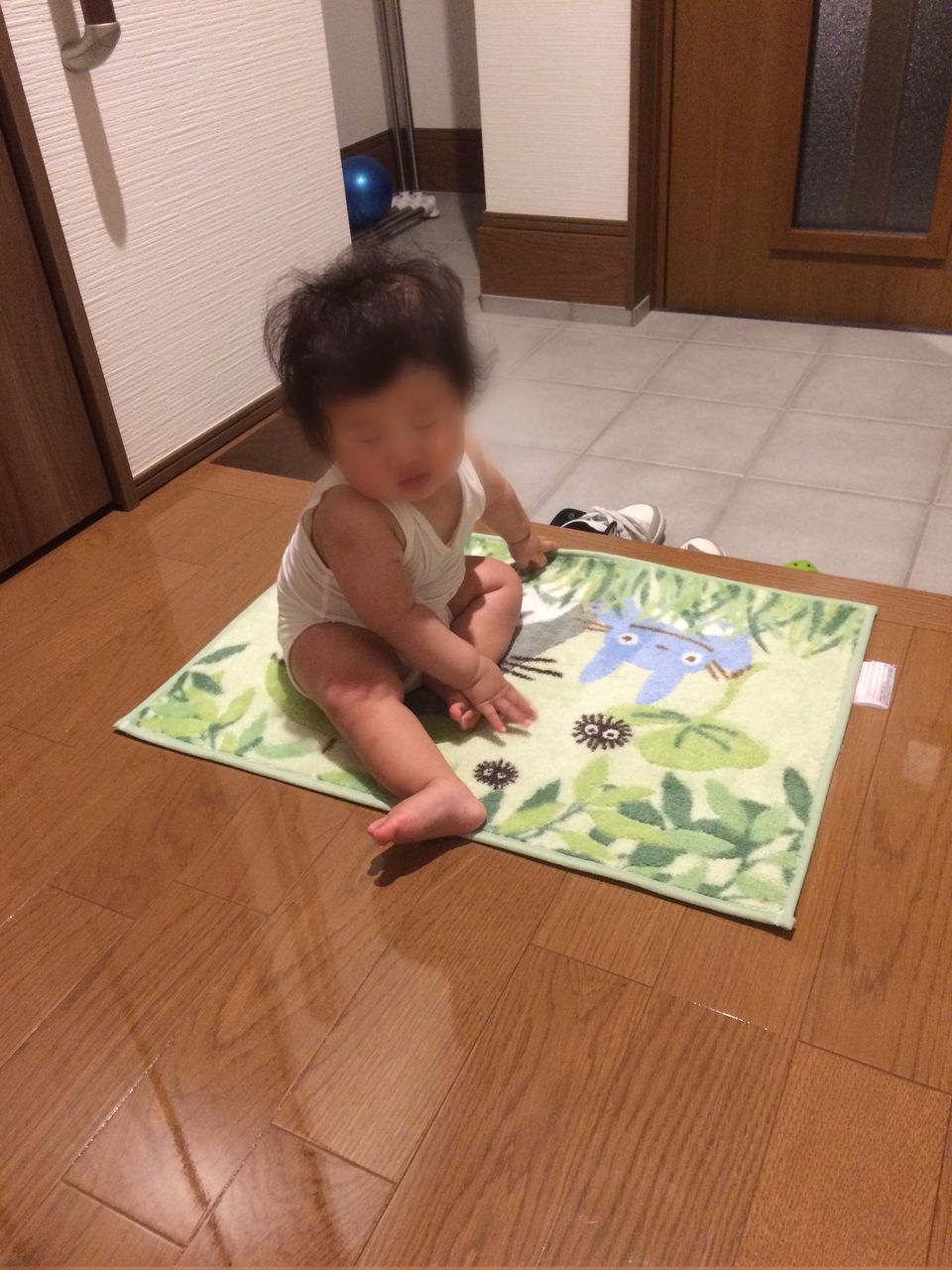 ハイハイする赤ちゃん 玄関に気を付けて お家が一番 ハイハイする赤ちゃん 玄関に気を付けて お家が一番