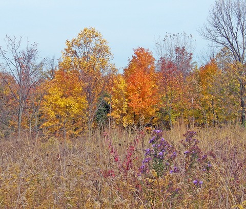 autumn-17963_1920