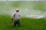 herbicide-587589_1920
