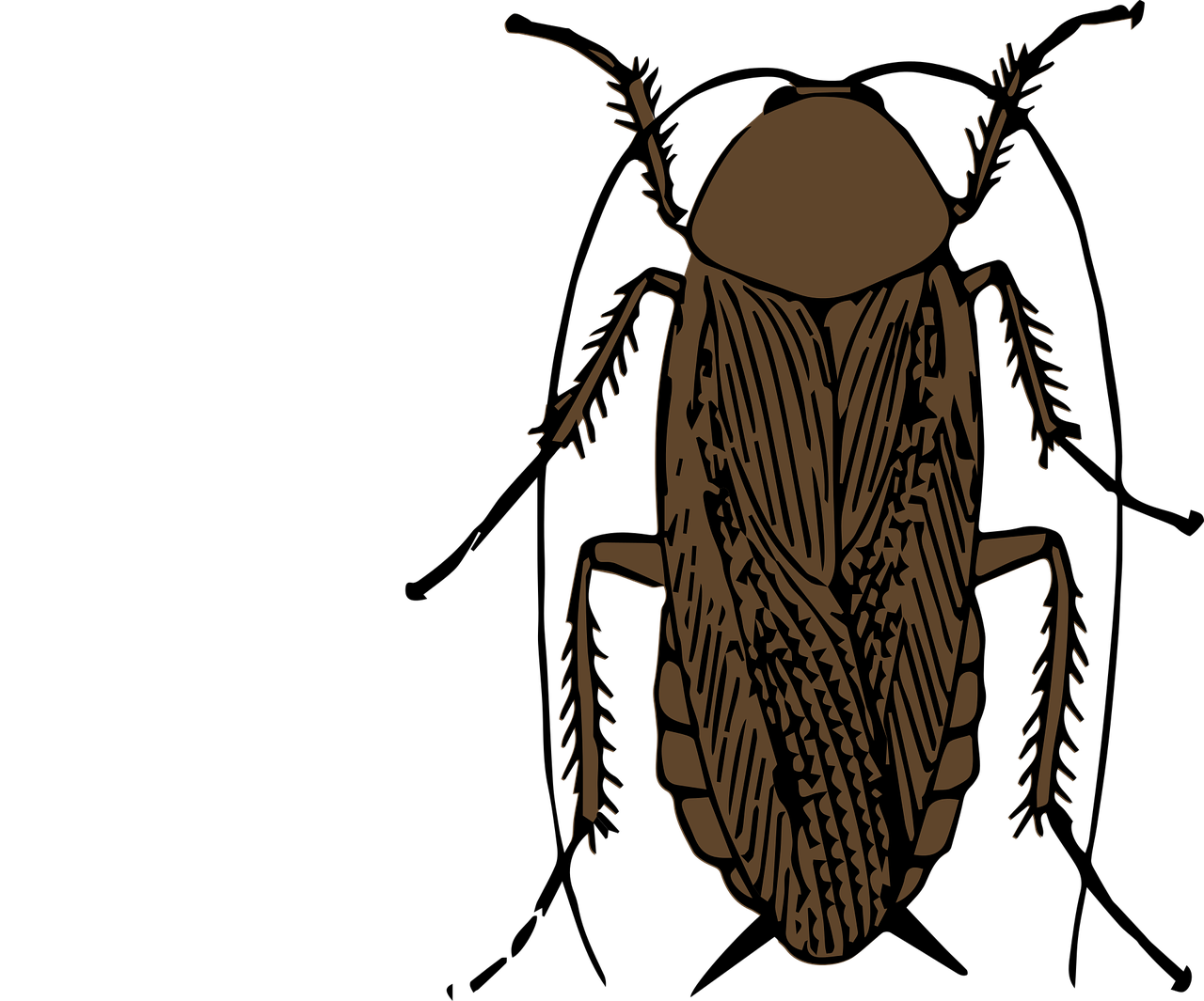 家の中にいる黒い侵入者 お家が一番 家の中にいる黒い侵入者 お家が一番