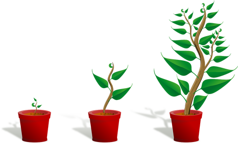sapling-154734_1280