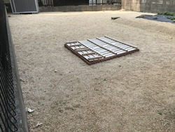 010