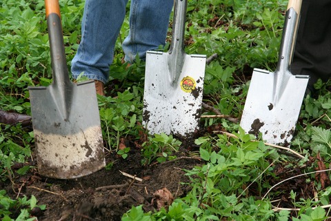 gardening-331986_1920