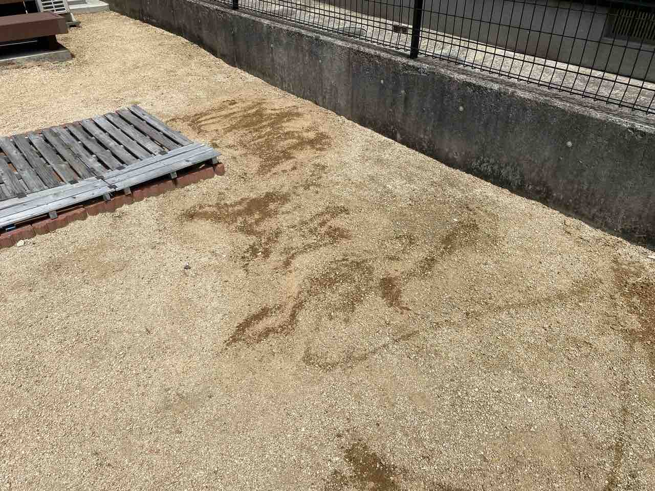 一気に取れるだけじゃなく防草効果もあることが発覚 角型スコップで草取りをすると雑草が生えなかった理由 お家が一番