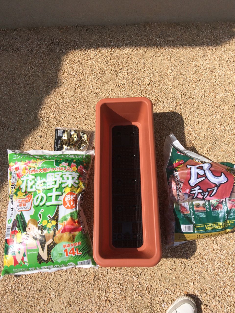 プランターで作るニラ栽培 お家が一番 プランターで作るニラ栽培 お家が一番