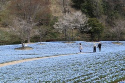 landscape-4113465_1920
