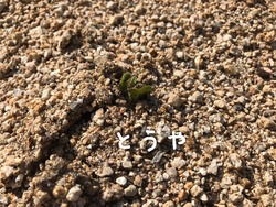 133
