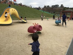043