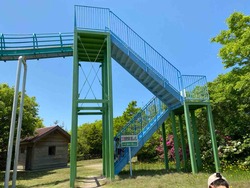 IMG_4479
