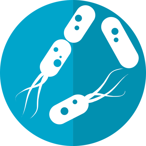 bacteria-icon-2316230_1280