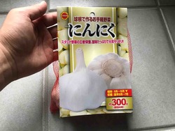 FullSizeRender