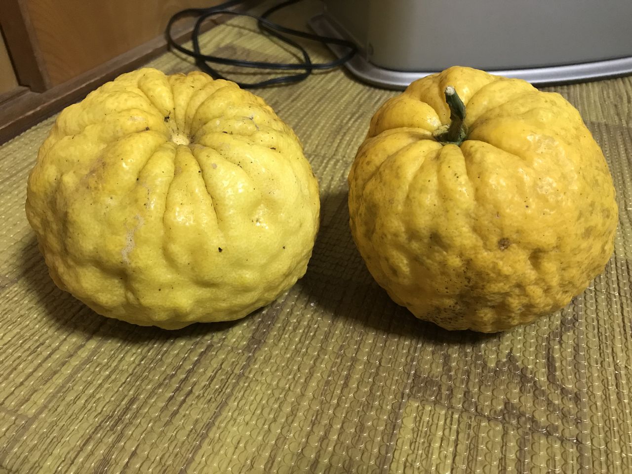 頂き物のおばけ柚子と冬至 お家が一番 頂き物のおばけ柚子と冬至 お家が一番