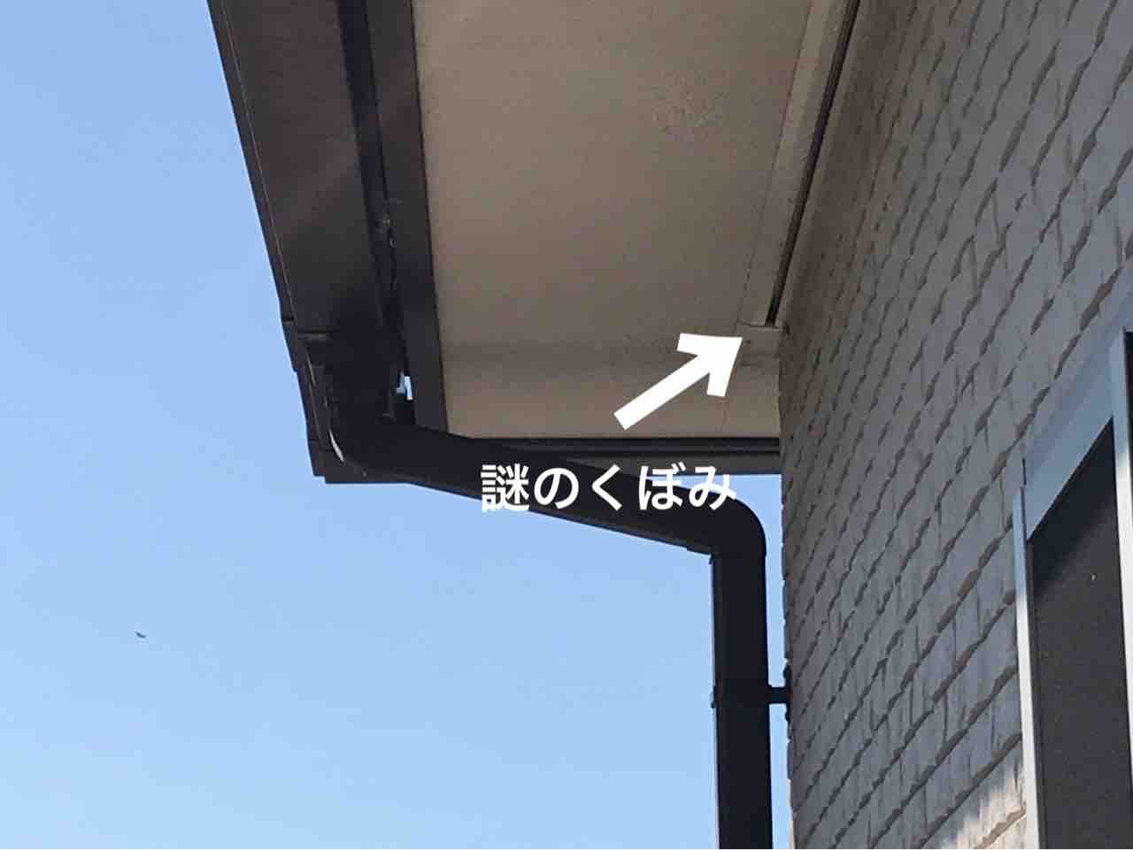 秋に2階の軒下に大量出現した コアシナガバチ その理由と対処方法 お家が一番