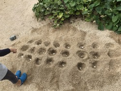 123