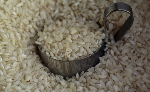 rice-3622461_1920