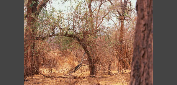 UCSB6U2N6KIASPU8-pad825x396xx444x