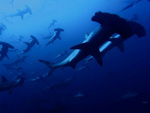 20111210165854_136_4