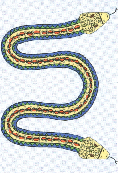 411px-Amphisbaena