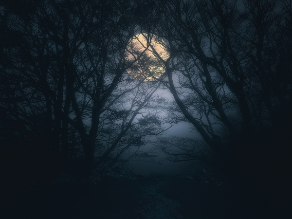 shutterstock_750099091