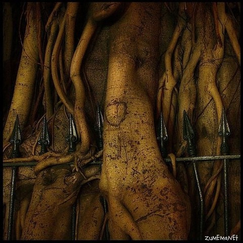 f2aaa23e6a3173759936810876793f00