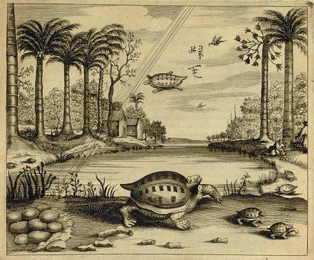 20120614010007_272_22