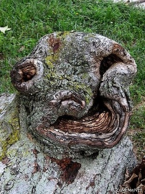 d2bff430a045a29ced1b10a1ca5b859a